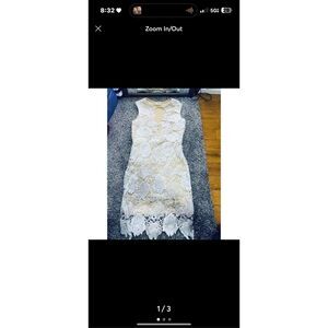 Between Us Ivory Lace Sheath Dress Size Small Nude Lining Floral Overlay